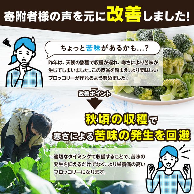 鹿児島県産冷凍ブロッコリー(合計2kg・約250g×8袋) 大容量 国産 野菜 冷凍 冷凍野菜 小分け【合同会社グッドフィールド】akn056-10