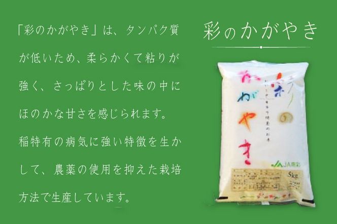 おいしさキラリ埼玉のお米　「彩のきずな・彩のかがやき」10kg(5kg×2袋・精米)【埼玉県 春日部市 白飯 穀物 国産 主食 家庭用 まとめ買い 農産品 ストック】（AG002）