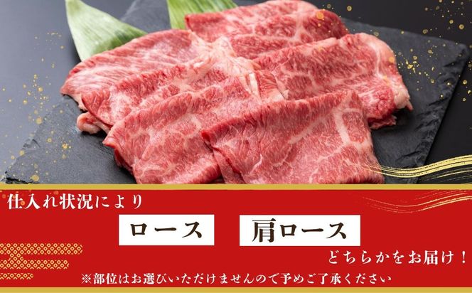 飛騨牛ロース・肩ロース スライスすきやき・しゃぶしゃぶ用 500g | 牛肉 肉 飛騨牛 和牛 国産 牛 ブランド牛 国産牛 ロース ロース肉 肩ロース すき焼き しゃぶしゃぶ ご褒美 贅沢 お取引せ グルメ 岐阜 瑞穂市 まるたか