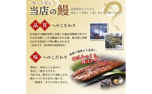 うなぎ蒲焼 4尾 計約880g （タレ・山椒付き） 1尾で約220gのビッグサイズ【通常発送】 鰻 うなぎ うなぎの蒲焼 炭火焼き 炭火 中国産【nks703B】