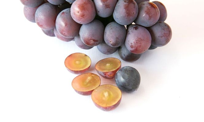 【田口ファミリーファーム】旬のぶどう(4房~8房) N053-YZD0143