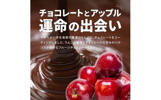 アップルチョコレートミルク450g【fktr0009】