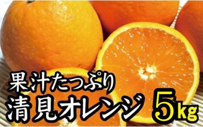 ya̎RI쒬zy_ƒzʏ`ՂIIW 5kg L@엿100%  TCY 2026N3{菇\i͂wsj/~J  k  IW t[c ʕ ynuk112Bz