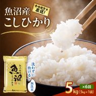 【令和8年産 先行予約】無洗米「6カ月定期便」食味鑑定士厳選！５ｋｇ×６回 白米 安心 安全 こだわり 米 コシヒカリ 定期 新潟県 十日町市
