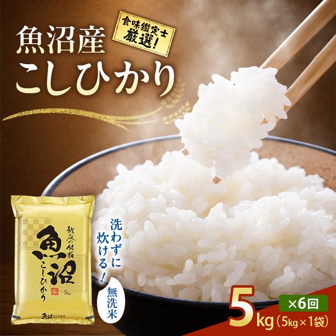 【令和8年産 先行予約】無洗米「6カ月定期便」食味鑑定士厳選！５ｋｇ×６回 白米 安心 安全 こだわり 米 コシヒカリ 定期 新潟県 十日町市