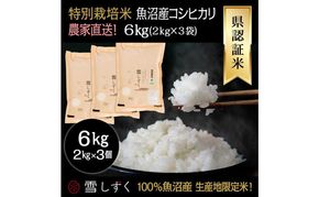 令和8年産！県認証特別栽培魚沼産コシヒカリ【農家直送！】 6kg(2kg×3袋) お米 米 コメ