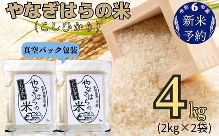 【令和6年産 新米予約】「やなぎはらの米　こしひかり」4㎏（真空包装） (6-43) 