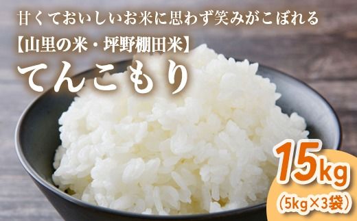 山の湧き水 寒暖差 山里 山里の米･坪野棚田米 R7年産 てんこもり15kg（5kg×3） ※北海道・沖縄・離島への配送不可