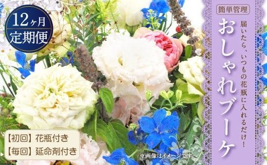 yÖszy 12zh|~̒|Zbgh͂A̉ԕrɓ邾I ȒPǗ   u[P 􏉉 ԕr tA񉄖ܕtII12   ԑ