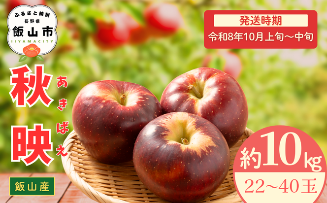 【先行予約丨2026年10月上旬より順次発送】秋映【約10kg (22〜40玉)】(At-010)丨長野県 飯山市 おすすめ ランキング おいしい 高評価 大人気 先取り 産地直送 りんご 秋映