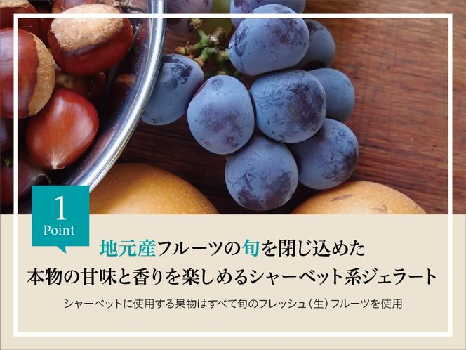 ジェラート 詰め合わせ 季節のお薦めジェラート詰め合わせ 90ml×12種類 カップ｜スイーツ ジェラート ミルク系 シャーベット系 季節 果物 野菜 すずらん牛乳 長野県 伊那市【017-37】