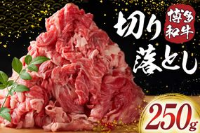 肉 牛肉 博多和牛 切り落とし 250g [MEAT PLUS 福岡県 宇美町 um40azp010057] ふるさと納税 牛肉 牛 肉 和牛 黒毛和牛 切落し 赤身 和牛 肩肉 牛肩 バラ肉 バラ 国産 冷凍