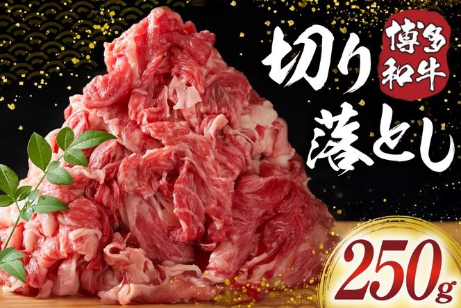 肉 牛肉 博多和牛 切り落とし 250g [MEAT PLUS 福岡県 宇美町 um40azp010057] ふるさと納税 牛肉 牛 肉 和牛 黒毛和牛 切落し 赤身 和牛 肩肉 牛肩 バラ肉 バラ 国産 冷凍