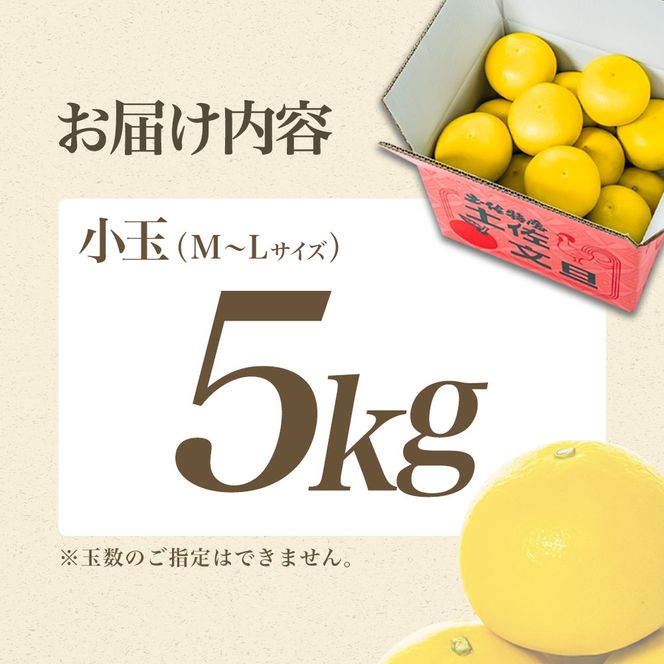 【日本ギフト大賞2024受賞】【先行予約】 園主こだわりの土佐文旦 5kg 小玉（L～Mサイズ） 2027年1月下旬より順次発送 家庭用 贈答用 ぶんたん ブンタン【やの一果彩】 [BQAC017]