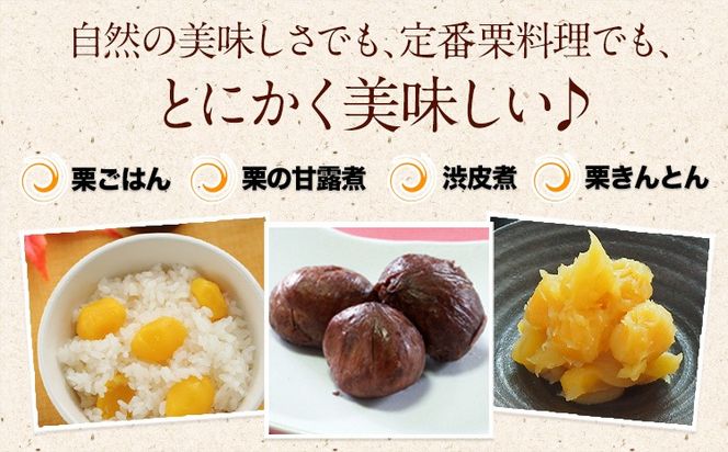 【先行予約】利平栗 熊本県御船町産限定 約1kg(3L-2Lサイズ)《2026年9月上旬-10月上旬出荷》期間限定 野菜 予約 スイーツ きんとん 甘露煮 渋皮煮 栗ご飯 熊本県御船町 栗---mifune_lcl_213_1---