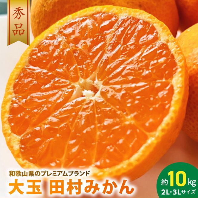 AB7302_ 【2026年先行予約】大玉田村みかん 2L・3Lサイズ 秀品 約10kg _ 和歌山プレミアムブランドみかん 大粒有 大きい 蜜柑 ミカン フルーツ 果物 ギフト お歳暮