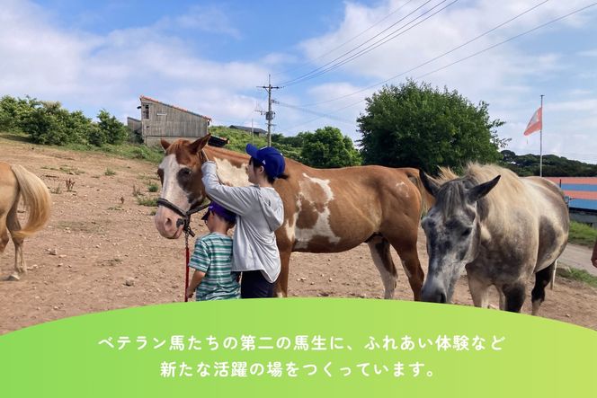 【返礼品なし】引退馬・仔馬の飼育支援 30,000円【カナディアンキャンプ乗馬クラブ】_HA2057 馬 仔馬 飼育支援 牧場 福岡県宗像市 宗像市 福岡 宗像