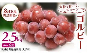 ゴルビー 2.5kg (4～6房)【2026年8月下旬発送開始】(茨城県共通返礼品：大子町) ぶどう 葡萄 ブドウ 果物 フルーツ 果実