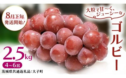 ゴルビー 2.5kg (4～6房)【2026年8月下旬発送開始】(茨城県共通返礼品：大子町) ぶどう 葡萄 ブドウ 果物 フルーツ 果実