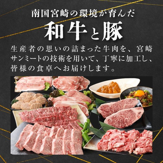  ＜12か月定期便 宮崎県産 牛・豚・加工品定期便！＞ K16_T005_1