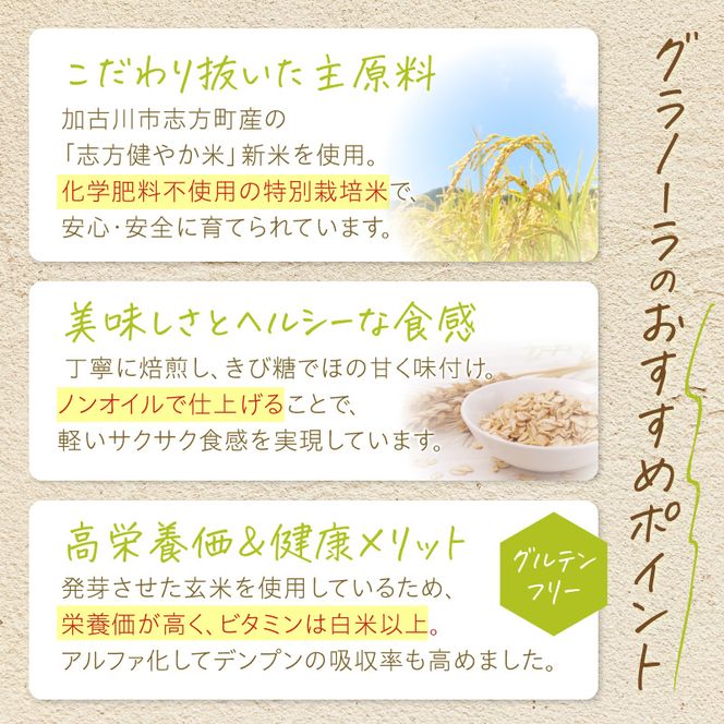 たかみくらファーム 発芽玄米グラノーラ《 グラノーラ サクサク食感 ノンオイル グルテンフリー 発芽玄米 》【2501I16503】