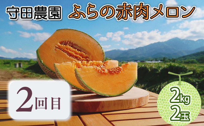 【年3回定期便】【2026年7～9月連続お届け】数量限定！ ふらのメロン 厳選3農家 コラボ  定期便(1)  食べ比べ 赤肉 2玉×3回 合計6玉 (北海道 富良野市 果物 フルーツ 甘い デザート 産地直送 新鮮 先着順 ジュラファーム富良野 守田農園 スイートベジタブルファクトリー)