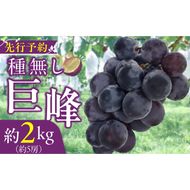 種無し巨峰 約2kg（約5房） 2025年 先行予約 種なしぶどう ［098O02］