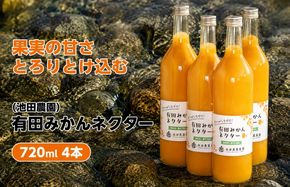 みかん ネクター 100％ ジュース / 温州みかん 有田みかん 果汁 無添加 柑橘 和歌山 15000円 720ml ※北海道・沖縄・離島への配送不可 //drink【ikd100-to720-4】