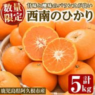 ＜先行予約受付中！2026年12月以降順次発送予定＞＜期間・数量限定＞西南のひかり(約5kg) 国産 鹿児島県 阿久根市 果実 果物 フルーツ 柑橘 みかん ミカン デザート 酸味 甘味 期間限定 数量限定【桐野柑橘株式会社】akn070-07