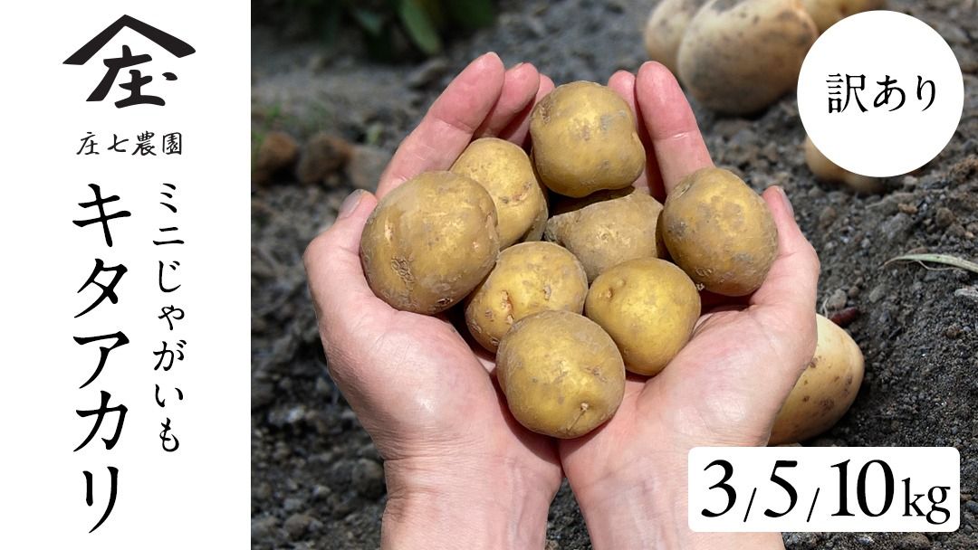 [訳あり]ミニ ジャガイモ ( キタアカリ ) 3kg 5kg 10kg 田んぼで作ったころころジャガイモ 新じゃが じゃがいも ジャガイモ 北あかり 芋 大容量 家庭用 小粒 野菜 根菜 産地直送 新鮮 5000円 6000円 8000円 [BK48-NT]