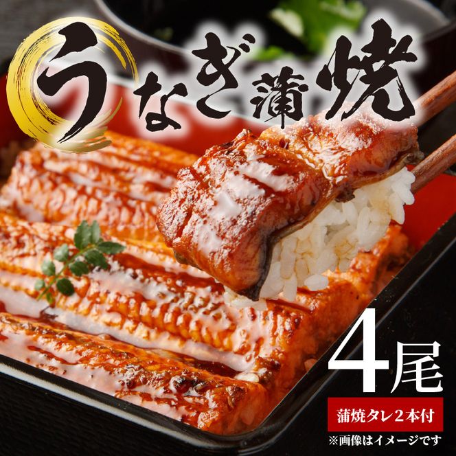 BC6007_うなぎ蒲焼 4尾 & 蒲焼タレ 2本 セット 国産 安全 ふっくら うなぎ 特製 タレ 土用 丑の日 こだわり 蒲焼き 贈答 贈り物 ギフト 急速冷凍 うな丼 うな重 う巻き ひつまぶし うなむすび 濃厚 冷凍 しいば水産 角長 お取り寄せ 和歌山県 湯浅町 送料無料