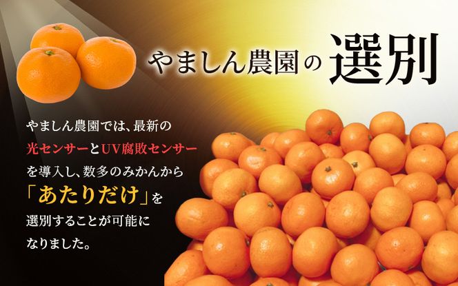 ＼光センサー選別／極 有田みかんプレミアム 10kg【光センサー 高糖度選別品】2S～Lサイズ 有機質肥料100% ※2026年11月～2027年1月に順次発送予定 ※北海道・沖縄・離島への配送不可 【nuk156D】