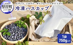 厚岸ハスカ 冷凍ハスカップ 1袋（750g） アントシアニン スーパーフード 果実 ビタミン ミネラル 抗酸化作用 ポリフェノール 北海道産 