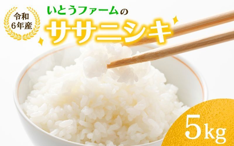 いとうファームの 令和6年産「ササニシキ」5kg / 米 お米 精米 白米 ご飯 産地直送 [itofarm020]