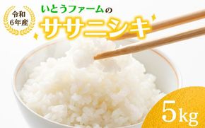 いとうファームの 令和6年産「ササニシキ」5kg / 米 お米 精米 白米 ご飯 産地直送