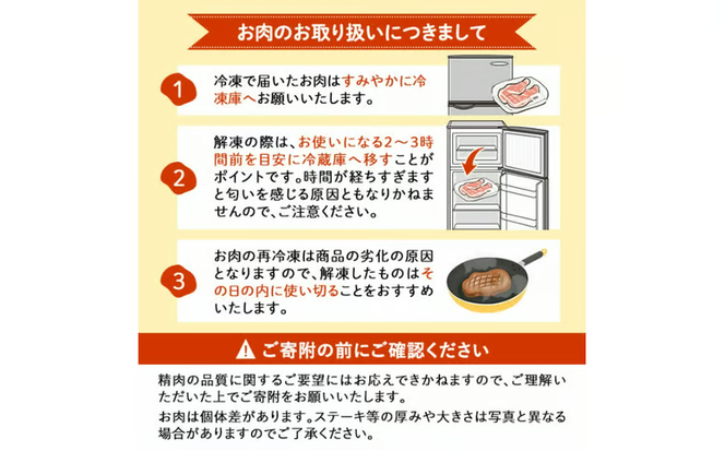 志布志産豚肉切り落とし 計2kg(500g×4P) a1-177