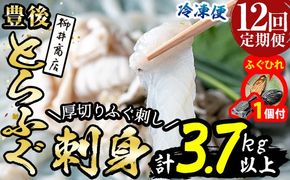 【期間限定・ふぐひれ付】＜定期便・全12回 (連続)＞ 豊後 とらふぐ 刺身 セット (総量約3.7kg：4-5人前×12回) とらふぐ ふぐ フグ ふぐ刺し フグ刺し ふぐ刺身 フグ刺身 刺身 鮮魚 冷凍 養殖 国産 大分県 佐伯市 【AB199-G】【柳井商店】
