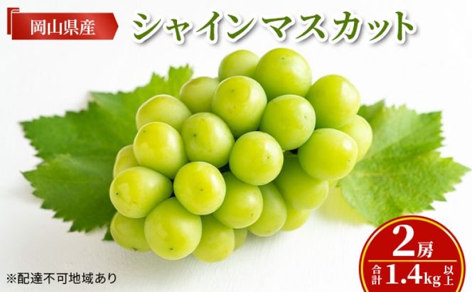 ぶどう 【2026年 先行予約】 シャインマスカット 2房(合計1.4kg以上) マスカット ブドウ 葡萄 岡山県産 国産 フルーツ 果物 ギフト