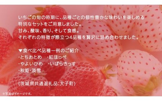 いちごの 食べ比べ 4品種×1パック【2026年12月上旬発送開始】(茨城県共通返礼品：大子町) いちご 苺 果物 フルーツ 果実