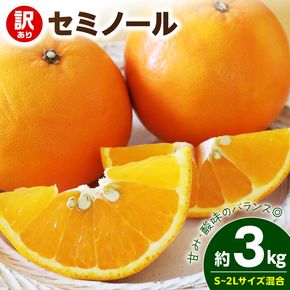 【2027年先行予約】《訳あり 家庭用》セミノール 約3kg（S～2Lサイズ混合）_EQ6009