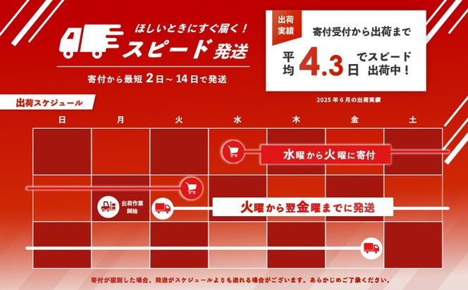 米 新米 5kg 10kg 20kg あきたこまち 令和8年産 白米 精米 スピード発送 選べる発送月 9月 10月 11月 12月