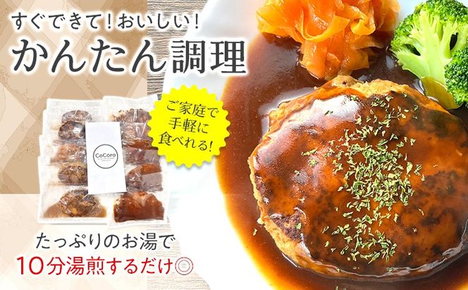 どっちも食べたい デミグラスハンバーグ＆和風ハンバーグ 各5個 10個 ハンバーグ 手ごね 和風 デミグラス 国産 晩御飯 おかず お弁当 冷凍 合挽 レンジ 温めるだけ レンチン 湯銭 二種 福岡 お土産 九州 福岡土産 福岡県