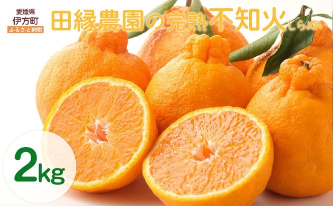 yQɕzys\zyʌzc_̊nsm΁iʂj2kg ւ̔zs i2026N320菇j IKTA029