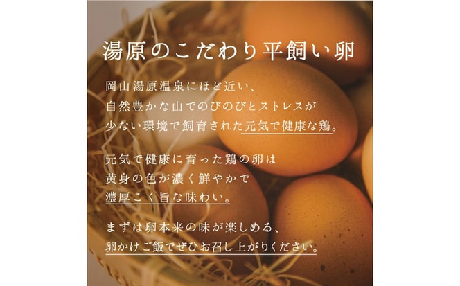 卵 あさひの輝き ギフトセット 30個（10個×3パック） 岡山県真庭市産 産地直送 【配送不可地域：北海道／沖縄県／離島】 tamago001 【jujy018-01】