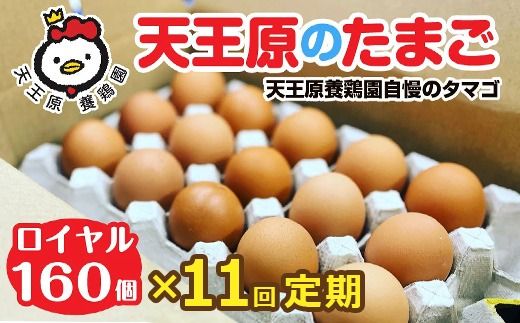 【定期便】11回定期 【天王原のたまご】 ロイヤル卵160個入り【定期便 11回定期便 セット たまご 卵 玉子 タマゴ 濃厚 ハリ 弾力 ボリューム 甘味 旨味 卵黄 風味 生 コク 甘味 卵かけご飯 卵焼き 目玉焼き オムレツ 茶碗蒸し お菓子作り パンの材料】