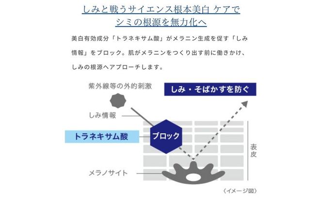 トランシーノ薬用ホワイトニングスティック5.3g ２本セット ケア スキンケア 美容液 保湿 トランシーノ 第一三共