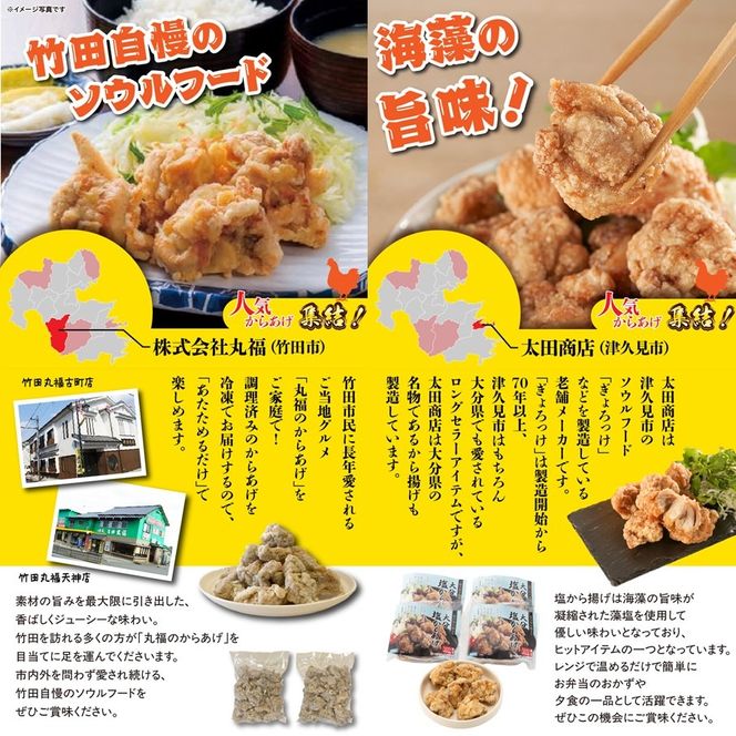 おおいたの人気からあげ集結！便利なレンチンお手軽唐揚げ定期便 大分県 国東 中津 竹田 津久見 時短 ご当地 グルメ 有名店 レンジ調理_2677R-11