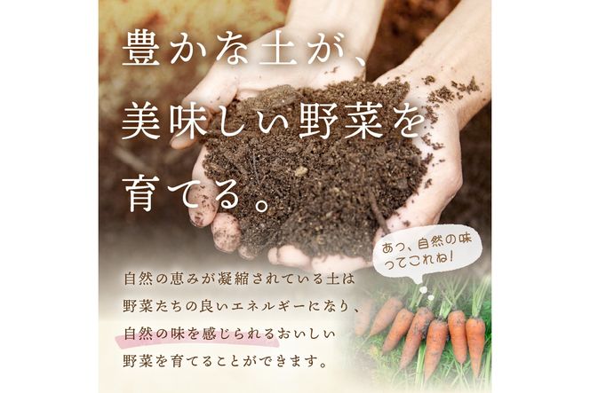 【先行予約：7月配送】＜てんとうむしばたけ＞夏のオーガニック野菜セット　有機野菜6～7種前後　BR00057_07