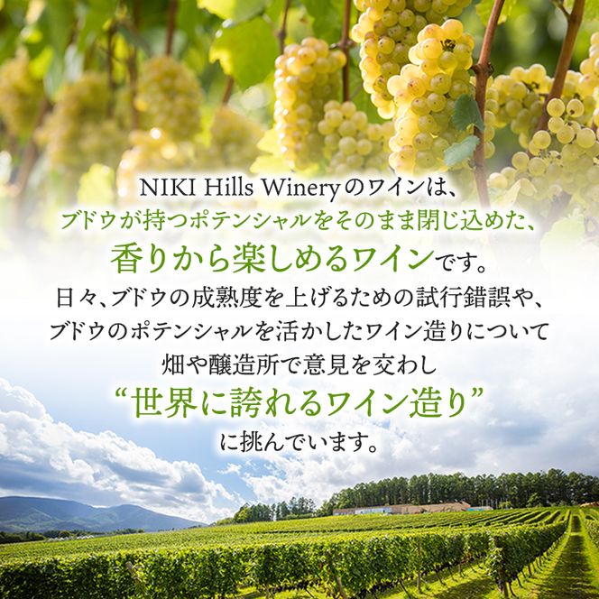 NIKI Hills Winery 白ワイン 【 HATSUYUKI 】 750ml ワイン 洋酒 お酒 アルコール ブドウ ぶどう ドライ [株式会社NIKI Hillsヴィレッジ]