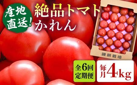 【全6回定期便】糸島産 絶品トマト かれん (4kg28玉前後) 糸島市 / シーブ 野菜 とまと[AHC067] トマト糸島市内の直産市場でもトップクラスの売り上げ！！